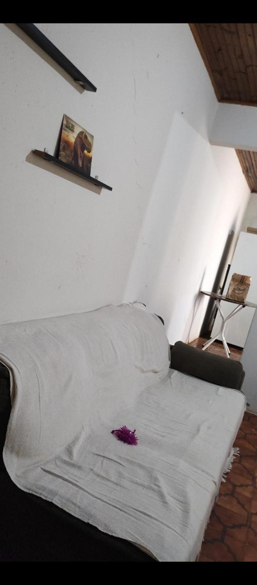 Pe De Pitanga - Unica Casa Arborizada Do Quarteirao Com Arvores Frutiferas Maringá Kültér fotó